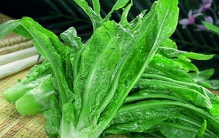 筍尖- 蔬菜配送網(wǎng)