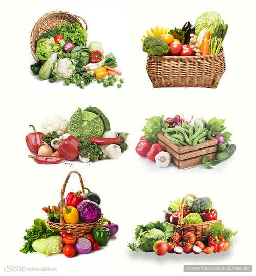 水果圖設(shè)計圖