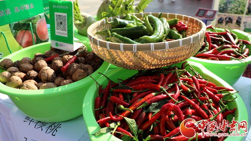 蘭州市西固區舉辦2024年中國農民豐收節慶?；顒? class=