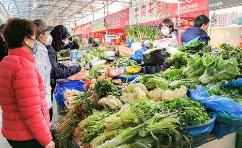 中國(guó)大媽挖野菜到底什么迷惑行為