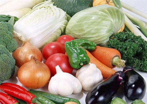 蔬菜配送 楊凌蔬菜配送多少錢 西安蔬菜配送公司