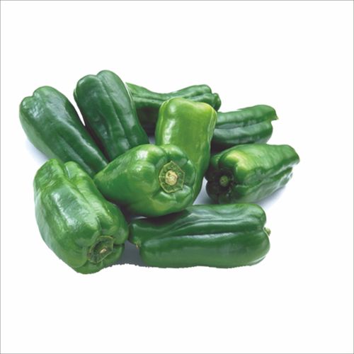 真實蔬菜各種食材 白菜馬鈴薯西紅柿胡蘿卜 png透明免扣設(shè)計素材 蔬菜免扣素材