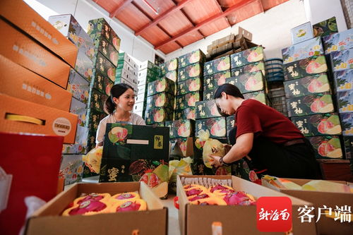 搭乘電商快車 海南農(nóng)產(chǎn)品暢銷國內(nèi)國際市場