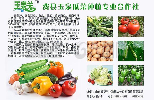 新鮮直達(dá)，品質(zhì)承諾——綠色蔬菜產(chǎn)品宣傳與農(nóng)副產(chǎn)品收購(gòu)服務(wù)